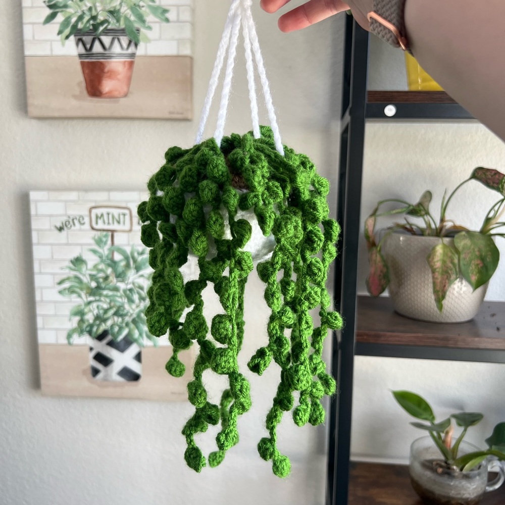 Handmade 🪴 hanging string of pearls plant